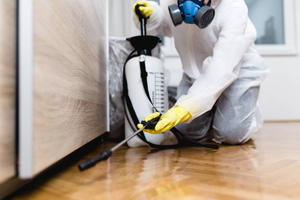 Best Wildlife Control Services  in Ashland, CA
