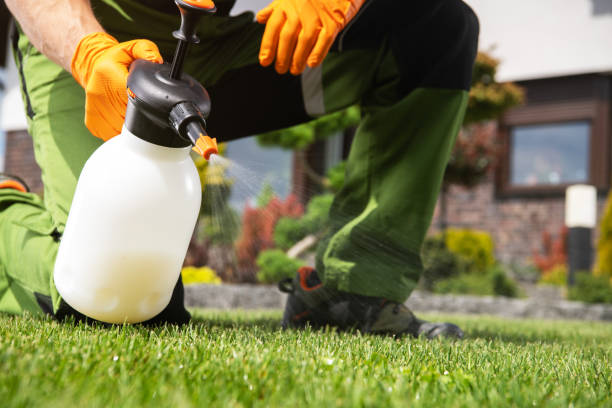 Best Rodent Control Near Me  in Ashland, CA