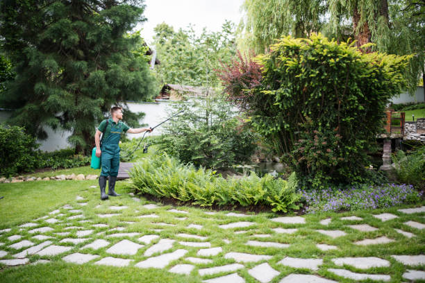Flea Control Services in Ashland, CA