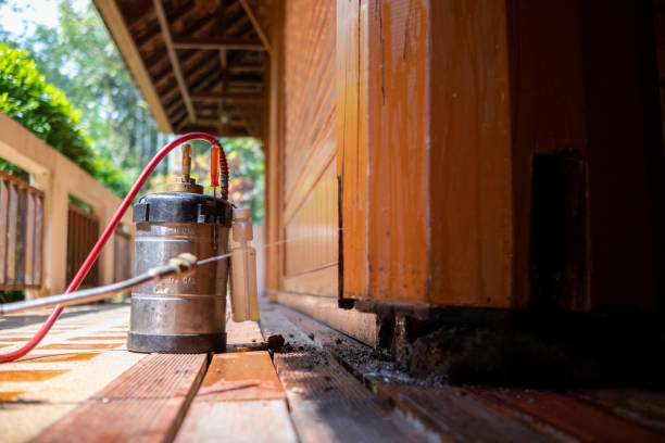 Best Ant Control Services  in Ashland, CA