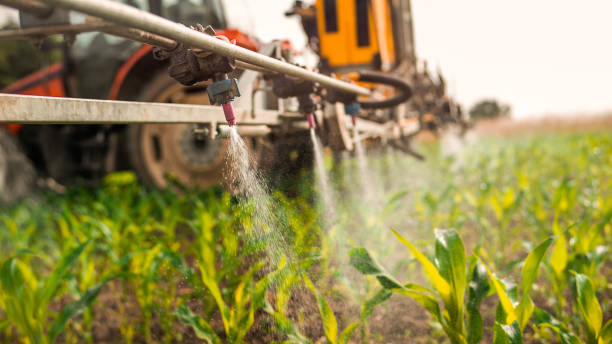 Best Commercial Pest Control Services  in Ashland, CA